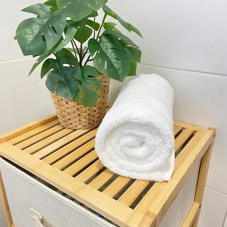 Buen Camino Apartment Redondela