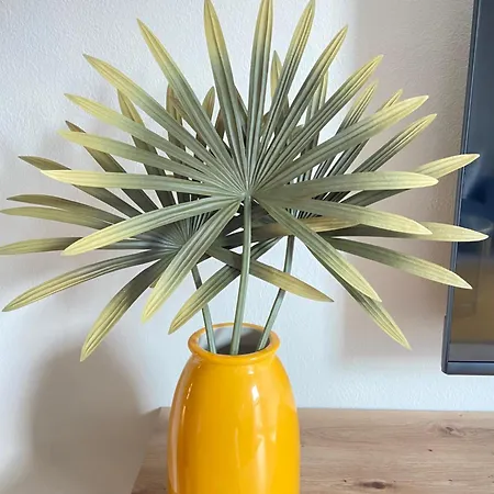 Buen Camino * Redondela